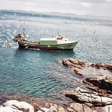 Agi Horitzo Mar 로지즈